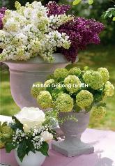 Klappkarte Flieder, Hortensien & Rosen